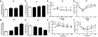 High-Fat Diet Increases Amylin Accumulation in the Hippocampus and Accelerates Brain Aging in hIAPP Transgenic Mice